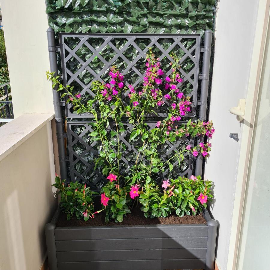 Maison Flavia Sorrento Exterior photo